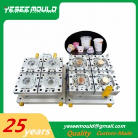 Thin wall container mould